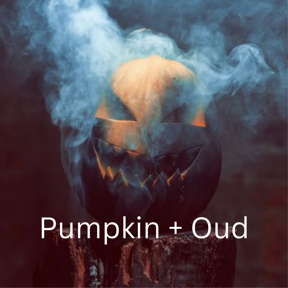 Pumpkin + Oud Collection